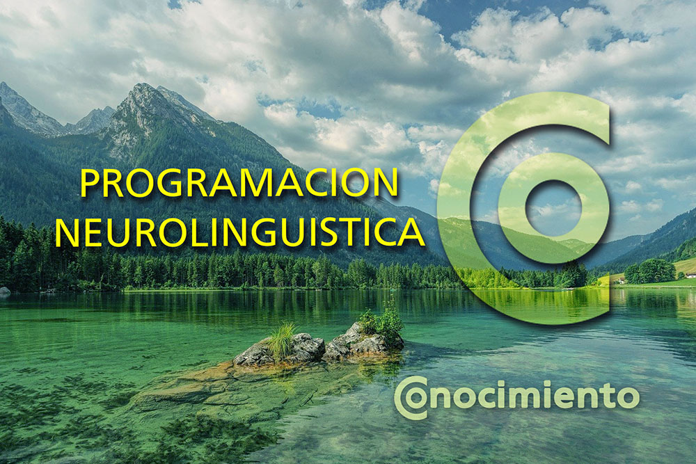 PROGRAMACION NEUROLINGUISTICA